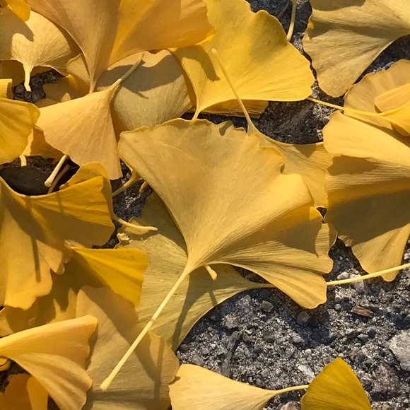 Meet your Posher, Kristin - Picture 1 of 1